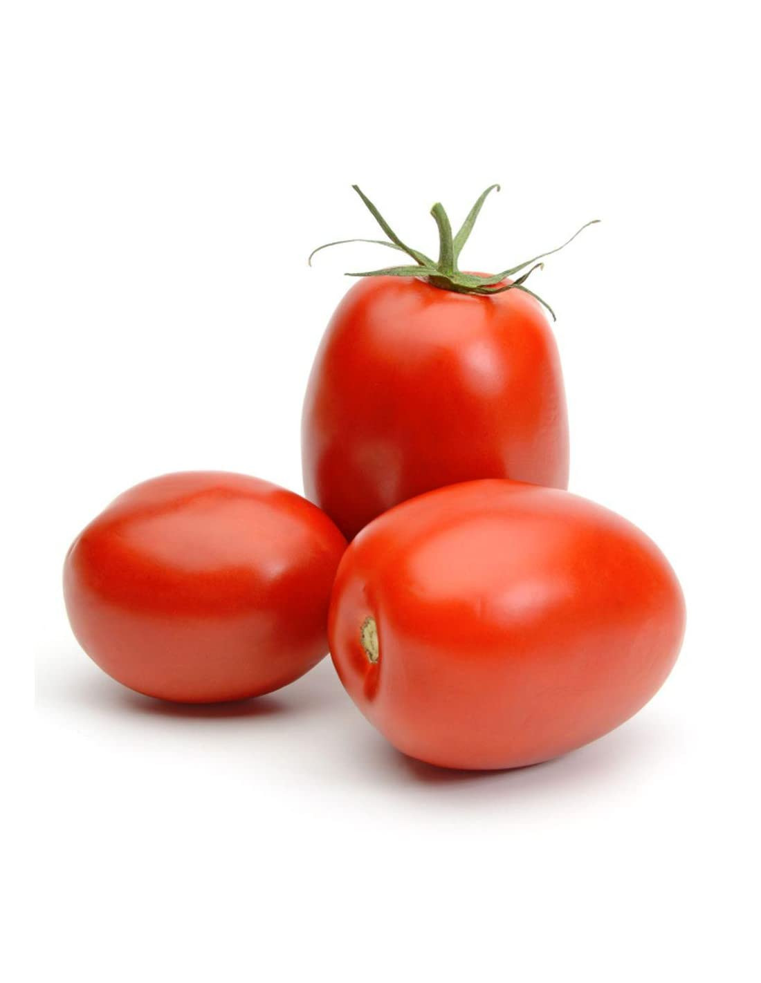 Fresh Tomato Hybrid